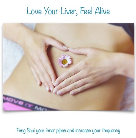Love Your Liver, Feel alive (eBook in pdf format) by Susan Laing